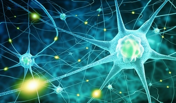 8张高清神经细胞化学医学图片
