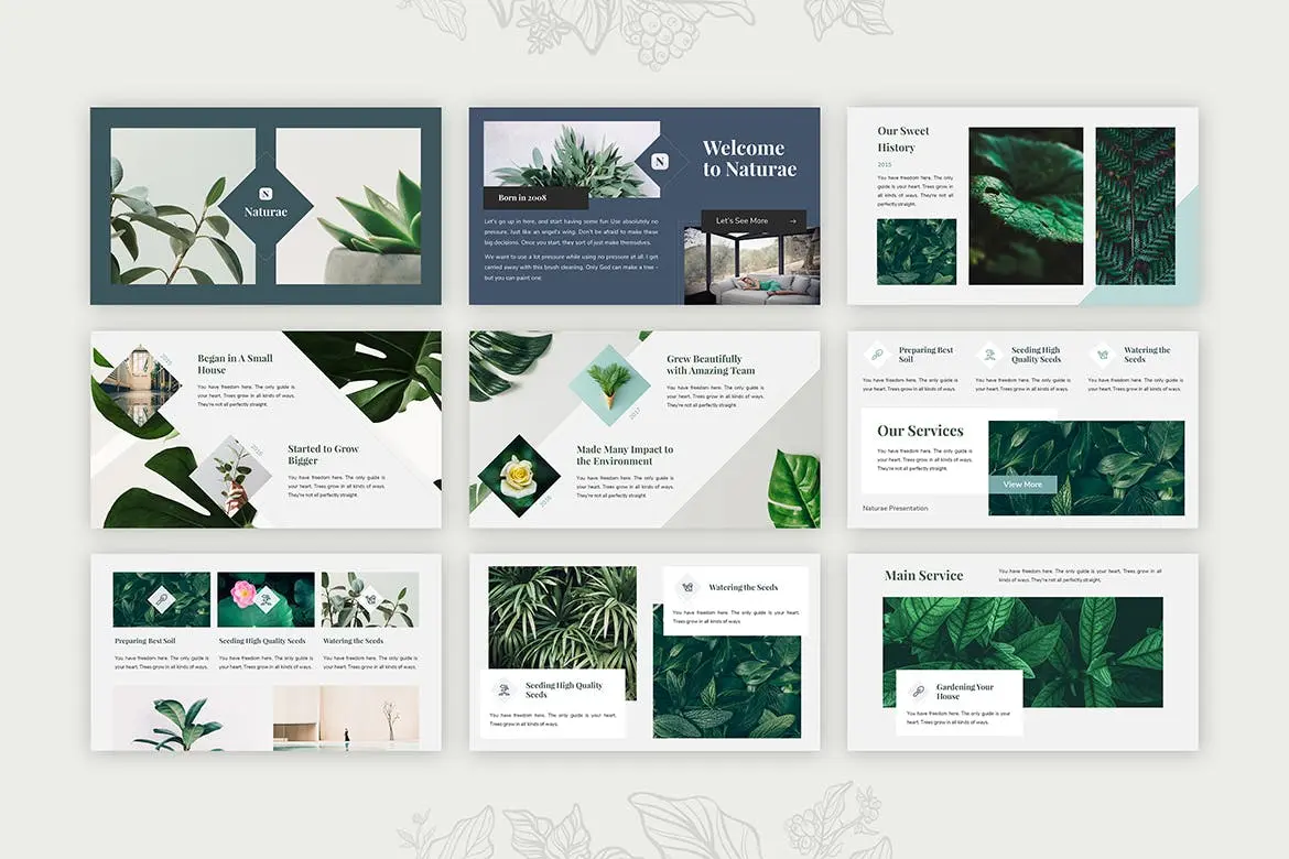 简约设计自然绿植介绍创意设计PPT幻灯片模板(图2)