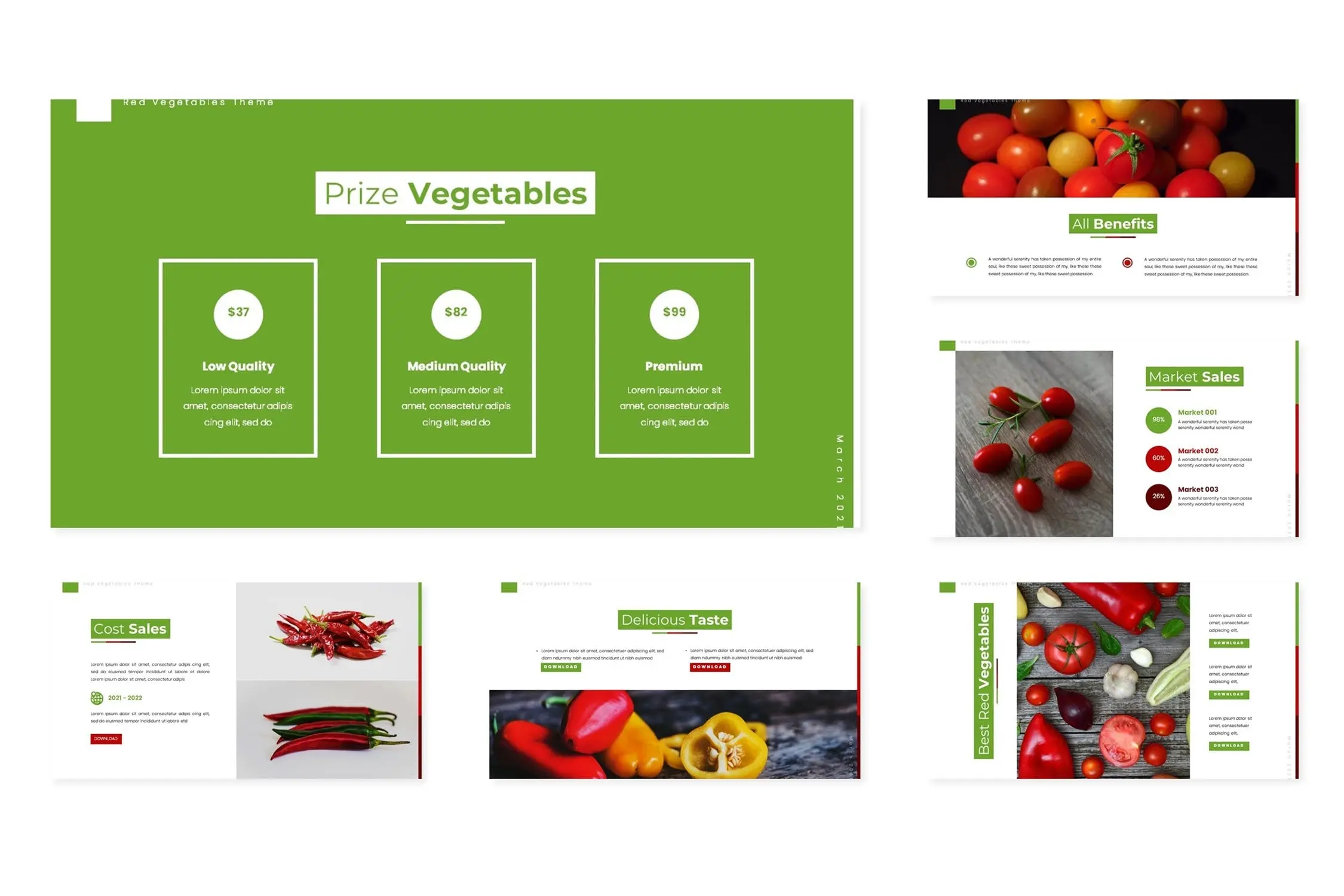 蔬菜食品公司简介演示文稿PPT模板(图1)