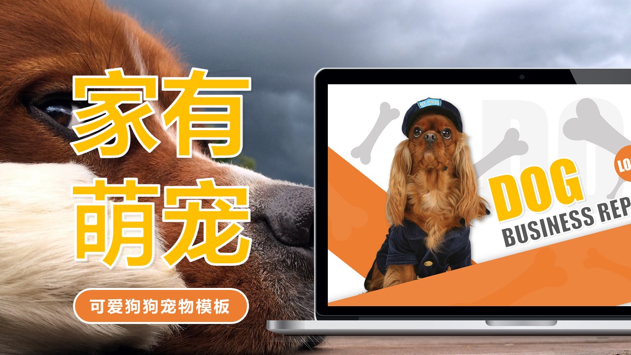 爱狗狗宠物行业公司介绍推广PPT模板免费下载