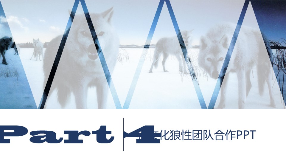 狼文化狼性团队合作企业文化PPT模板免费下载