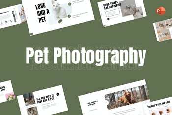 极简主义宠物摄影商业PPT幻灯片模板免费下载