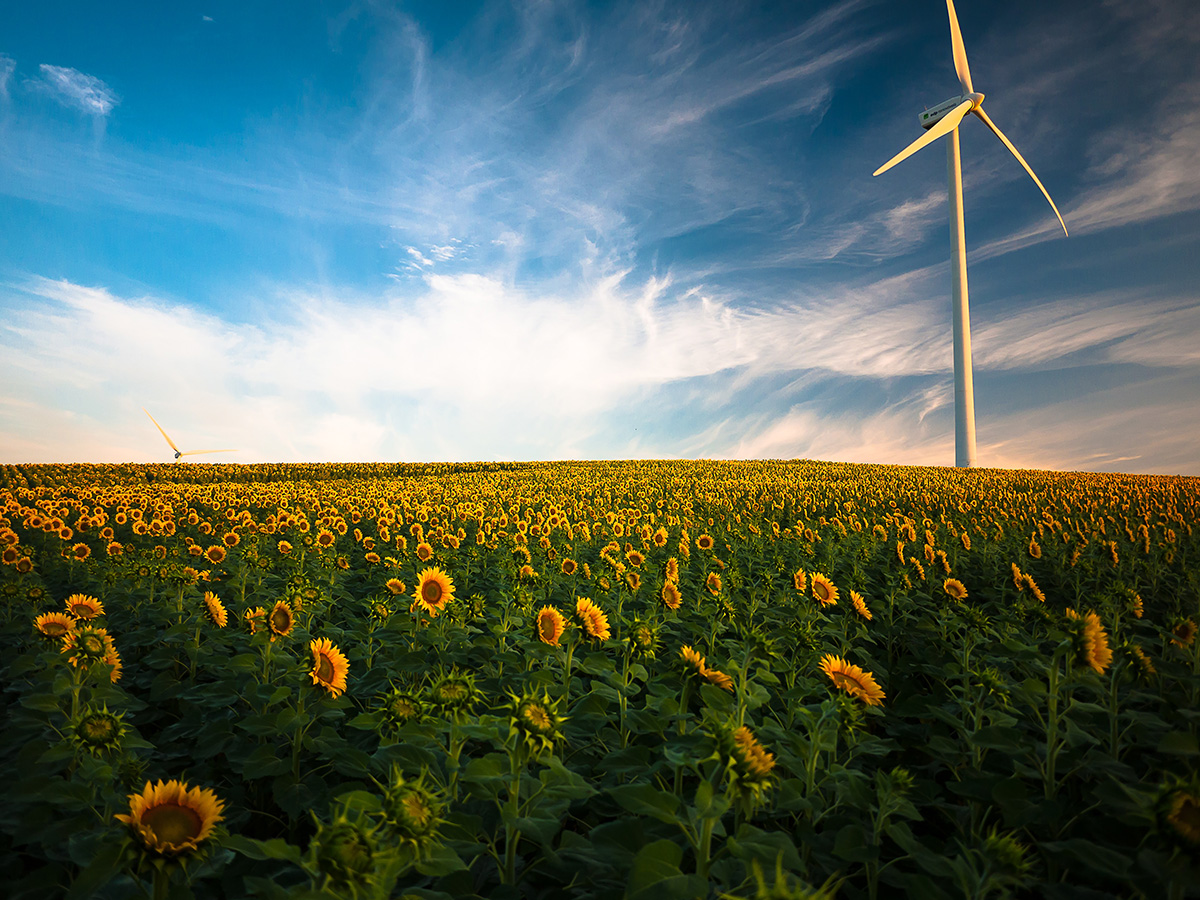 新能源环保风力发电ppt背景幻灯片图片素材